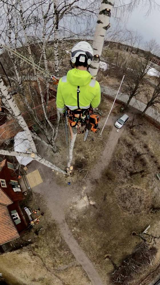 kew kitchen cabinets