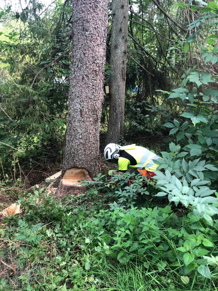kew kitchen cabinets