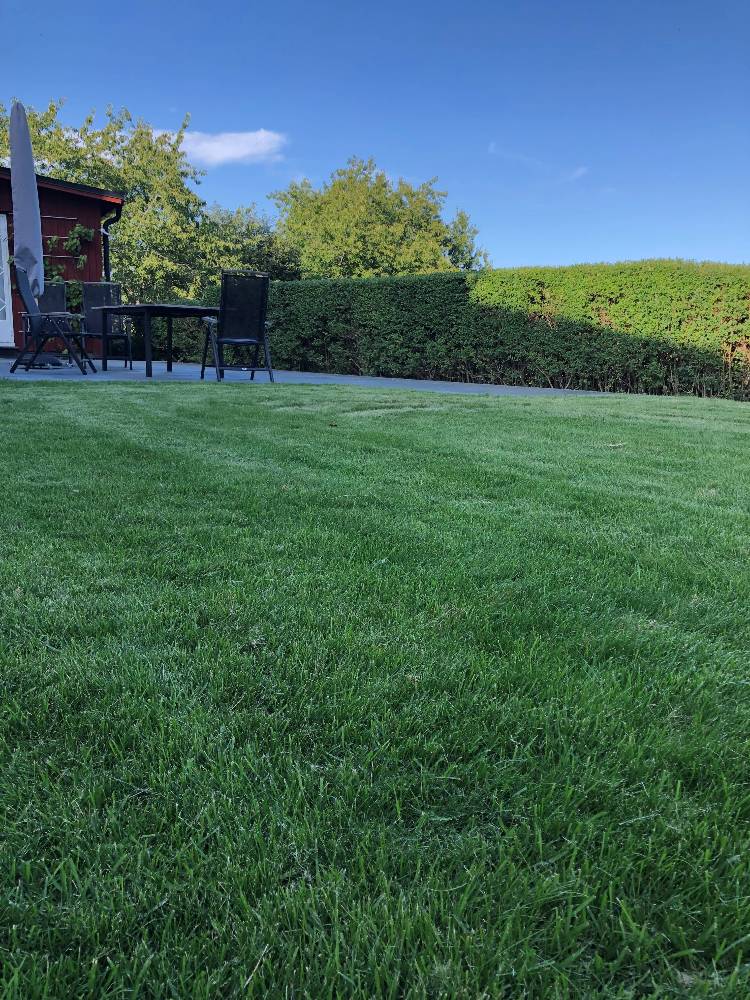 new home construction